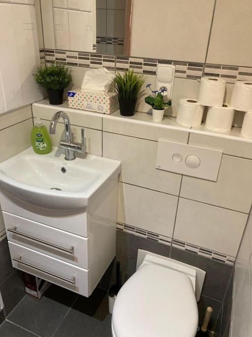 Apartment Star Brno With Terrace 5 Komín エクステリア 写真
