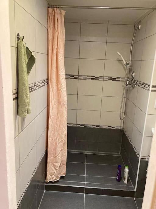 Apartment Star Brno With Terrace 5 Komín エクステリア 写真