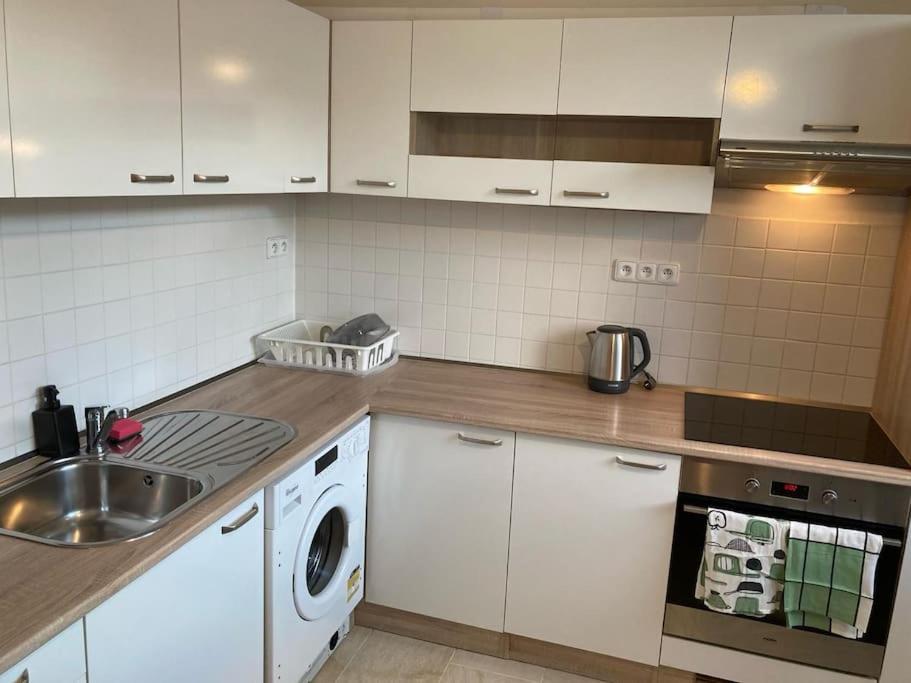 Apartment Star Brno With Terrace 5 Komín エクステリア 写真